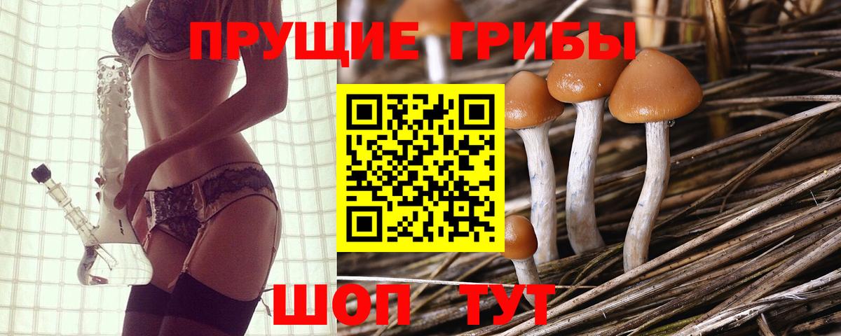 Галлюциногенные грибы ЛСД  наркота  Ялуторовск  Псилоцибиновые грибы прущие грибы  Вход с VPN 